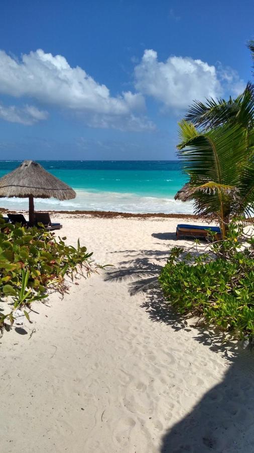Sol Caribe Hotel Пунта Ален Екстериор снимка