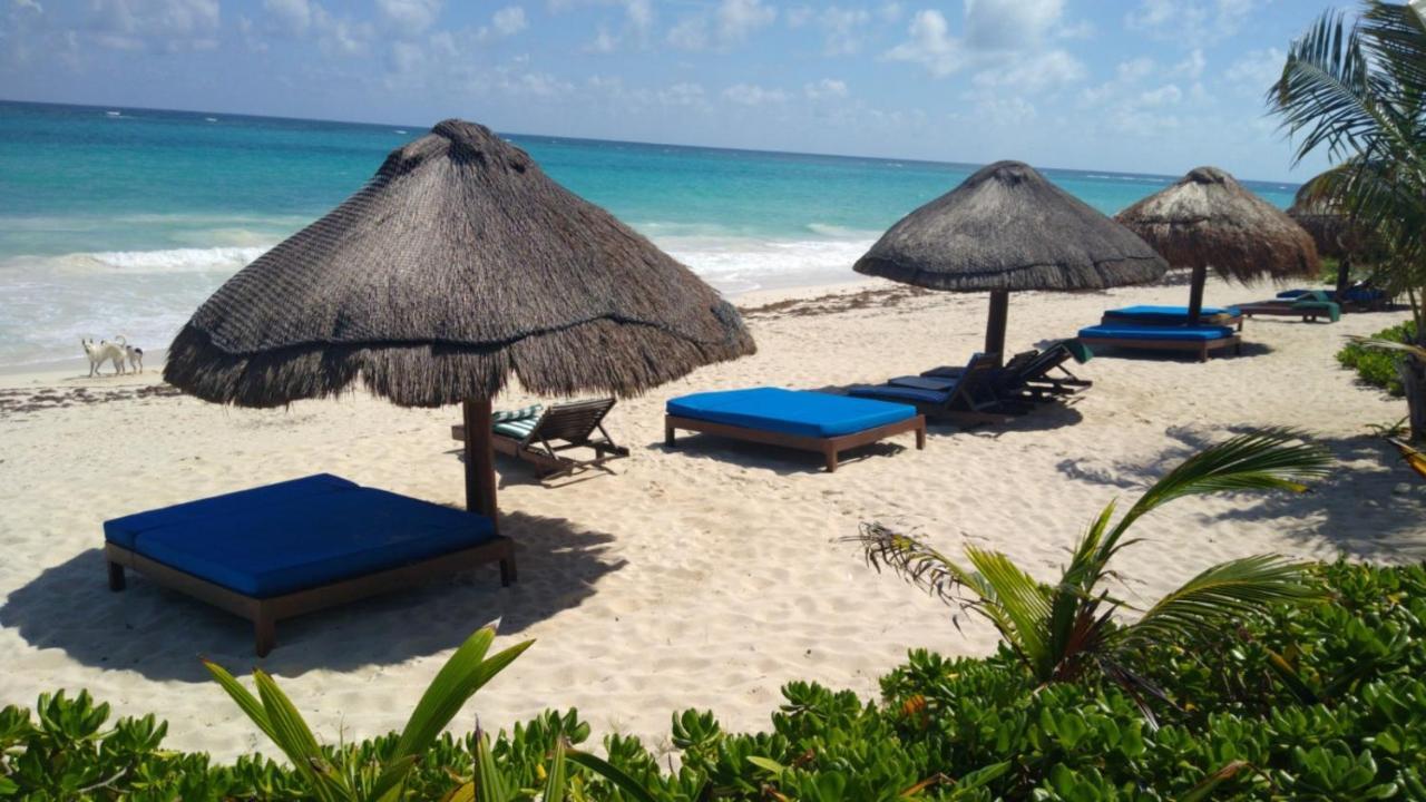 Sol Caribe Hotel Пунта Ален Екстериор снимка