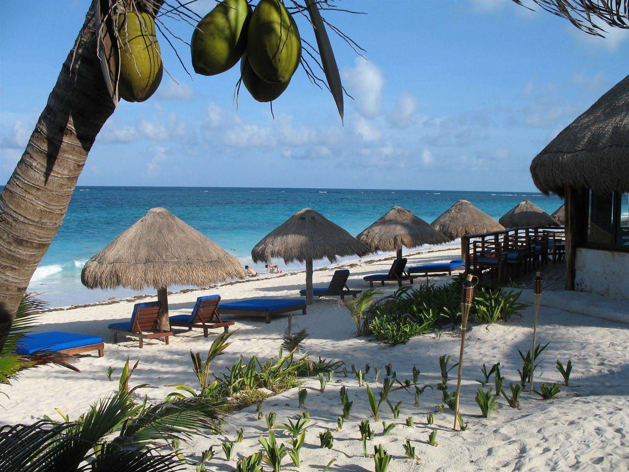 Sol Caribe Hotel Пунта Ален Екстериор снимка