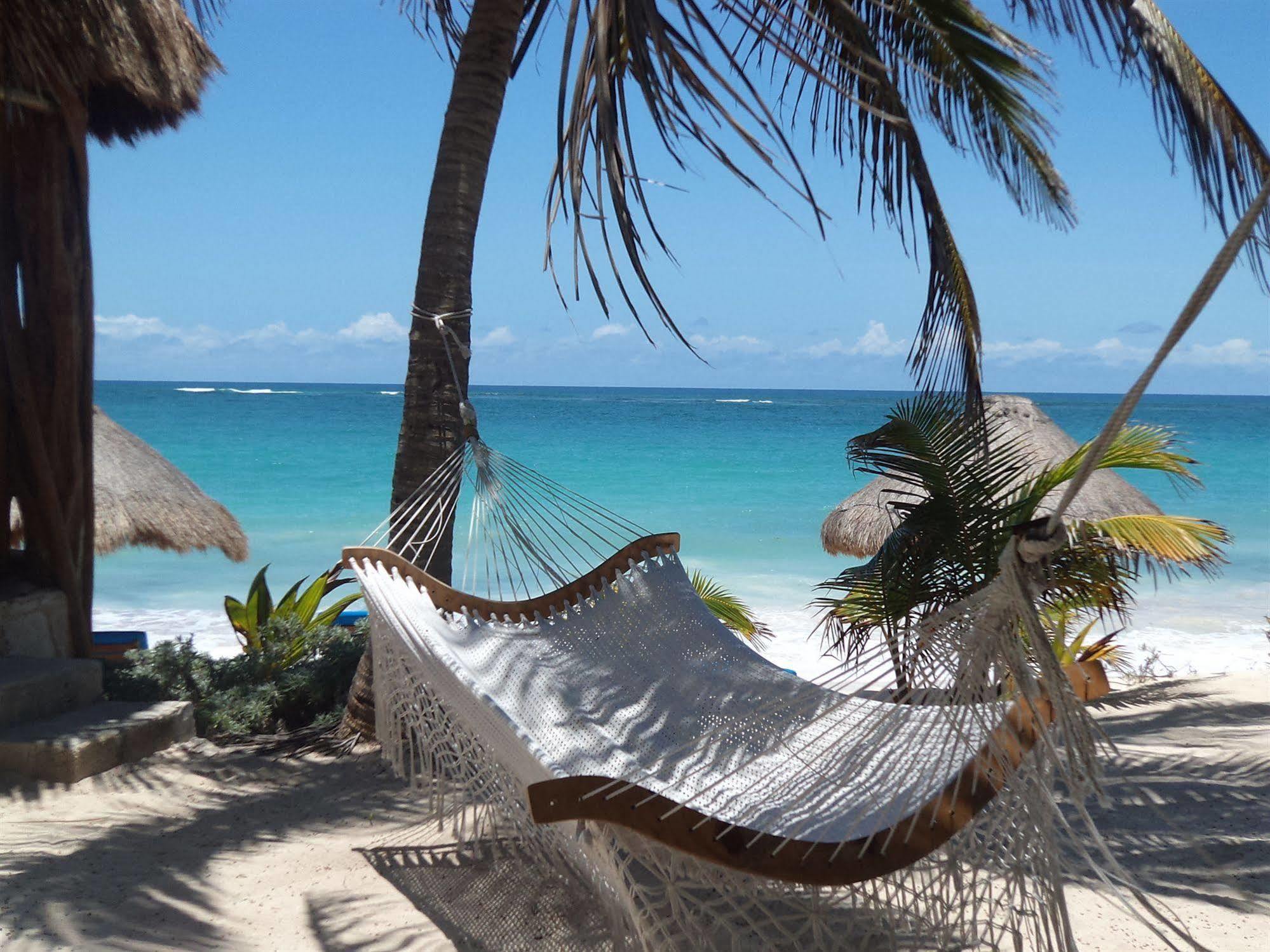 Sol Caribe Hotel Пунта Ален Екстериор снимка