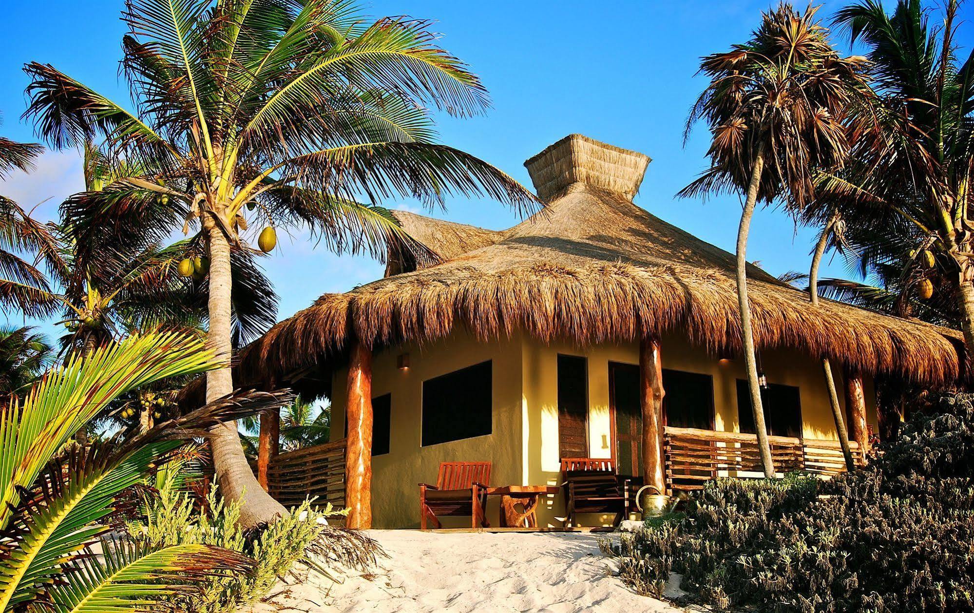 Sol Caribe Hotel Пунта Ален Екстериор снимка